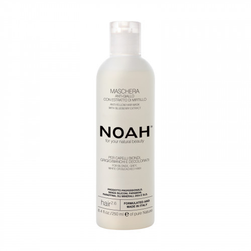 Noah 2.6 Anti-Yellow Hair Mask With Blueberry Extract 250ml