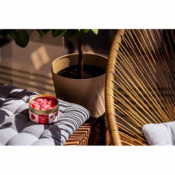 CandleHand Candlecan Ripe Strawberries Candle Ripe Strawberries