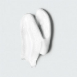 Sebastian Professional Penetraitt Resque Repair Mask 145ml