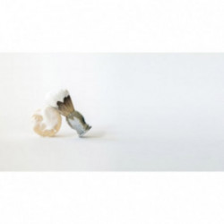 Leaf Shave Shave Soap Bar 85g