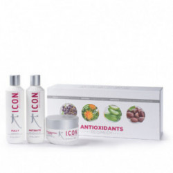 I.C.O.N. Antioxidants Gift Set