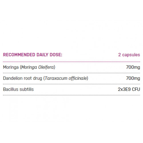 Ecosh Bacillus Subtilis + 90 Capsules