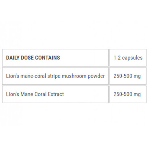 Ecosh Lion’s Mane Food Supplement 90 capsules