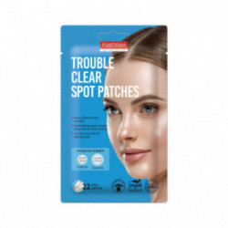 Purederm Trouble Clear Spot Patches 22 pcs.