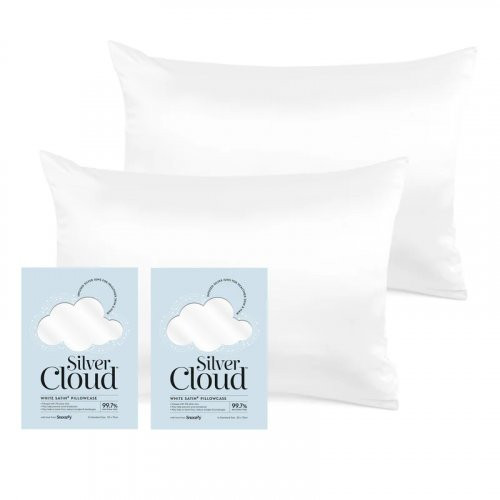 Silver Cloud Satin Pillowcase Twinpack Caramel