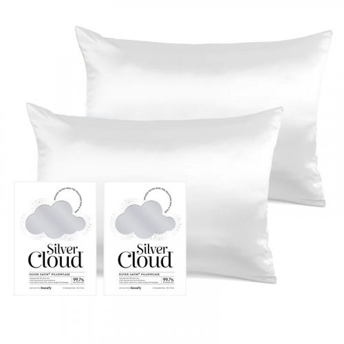 Silver Cloud Satin Pillowcase Twinpack Caramel