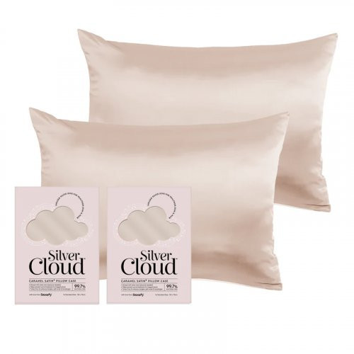 Silver Cloud Satin Pillowcase Twinpack Caramel