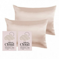 Silver Cloud Satin Pillowcase Twinpack Caramel