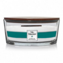 WoodWick Icy Woodland Candle Heartwick