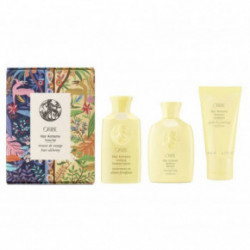 Oribe Hair Alchemy Travel Set