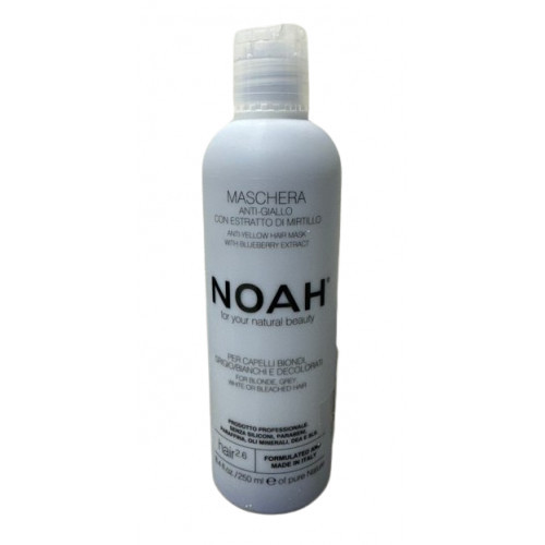 Noah 2.6 Anti-Yellow Hair Mask With Blueberry Extract 250ml