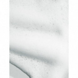 Mizon Hyaluronic Sherbet Deep Cleansing Foam 150g