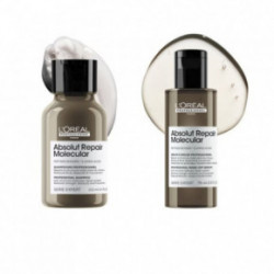 L'Oréal Professionnel Absolut Repair Molecular Hair Mini Duo Kit Gift set