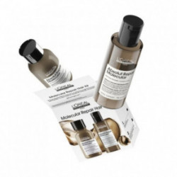 L'Oréal Professionnel Absolut Repair Molecular Hair Mini Duo Kit Gift set