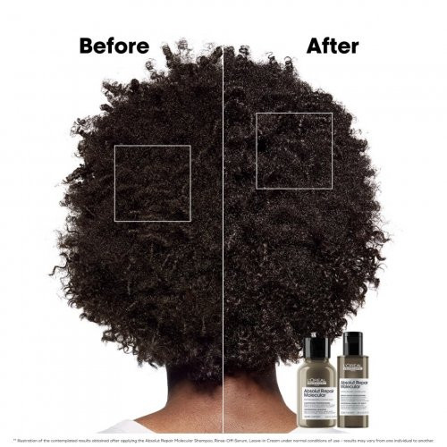 L'Oréal Professionnel Absolut Repair Molecular Hair Mini Duo Kit Gift set