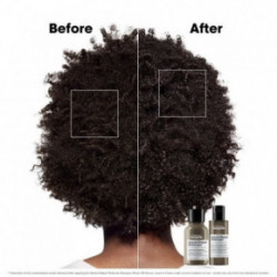 L'Oréal Professionnel Absolut Repair Molecular Hair Mini Duo Kit Gift set