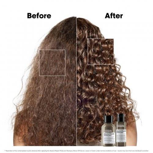 L'Oréal Professionnel Absolut Repair Molecular Hair Mini Duo Kit Gift set