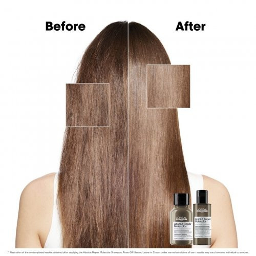 L'Oréal Professionnel Absolut Repair Molecular Hair Mini Duo Kit Gift set