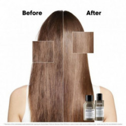 L'Oréal Professionnel Absolut Repair Molecular Hair Mini Duo Kit Gift set