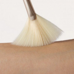 Jane Iredale Fan Brush 1pcs