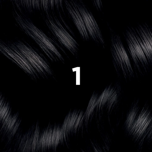 Phyto Permanent Hair Color without Ammonia 1 Black