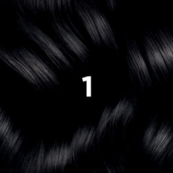 Phyto Permanent Hair Color without Ammonia 1 Black