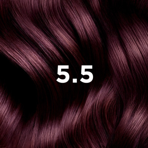 Phyto Permanent Hair Color without Ammonia 1 Black