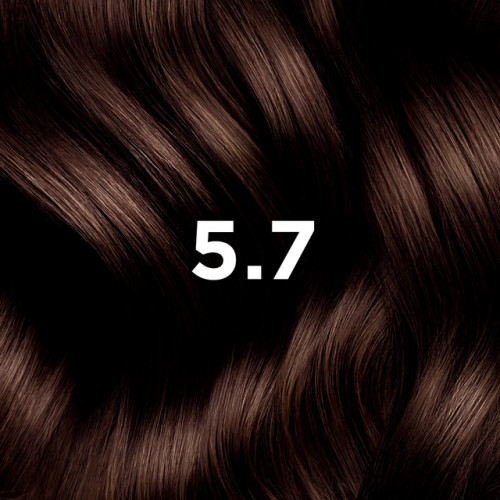 Phyto Permanent Hair Color without Ammonia 1 Black