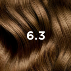 Phyto Permanent Hair Color without Ammonia 1 Black