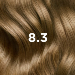 Phyto Permanent Hair Color without Ammonia 1 Black
