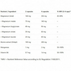 Ecosh Magnesium Complex + Mumio 90 capsules