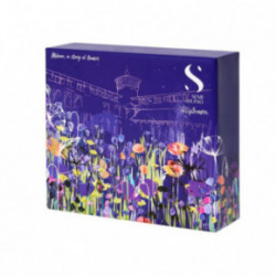 AlfaParf Milano SDL Holiday Blonde Gift Set
