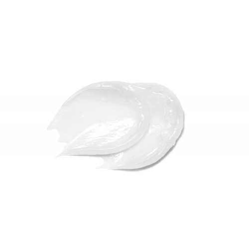 Transparent Lab Overnight Restoring Lip Treatment 15ml