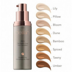 Delilah Alibi The Perfect Cover 30ml
