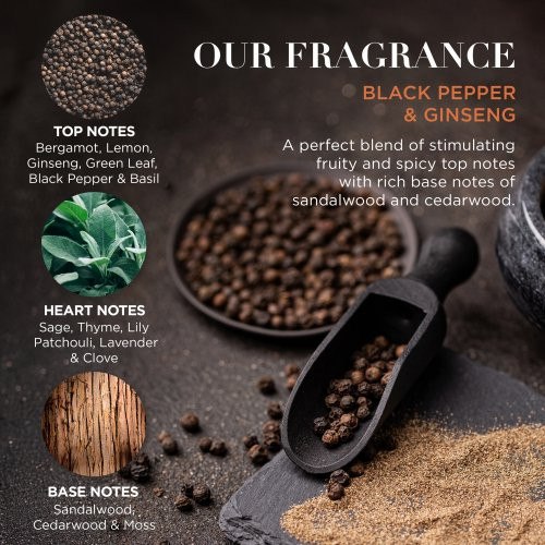 Baylis & Harding Black Pepper & Ginseng Men's The Essentials Tin Kit Gift Set