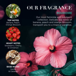 Baylis & Harding Boudoire Luxury Drum Gift Set