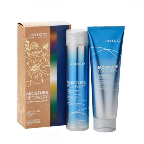Joico Moisture Recovery Holiday Duo