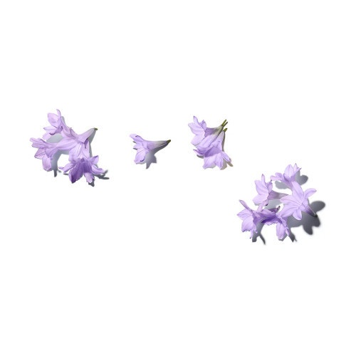 Benamor Jacarandá Calming Milky Body Cream 150ml