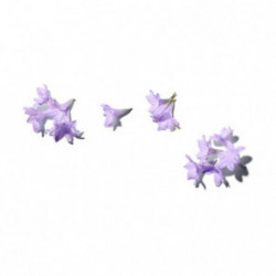 Benamor Jacarandá Calming Milky Body Cream 150ml