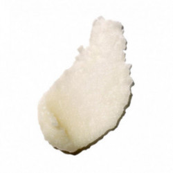 Benamor Alantoíne Protective Lip Balm 12g