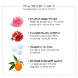 Delilah Wake Up Radiant Hydrating Mist 80ml