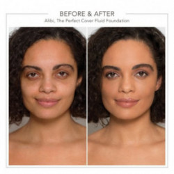 Delilah Alibi The Perfect Cover 30ml