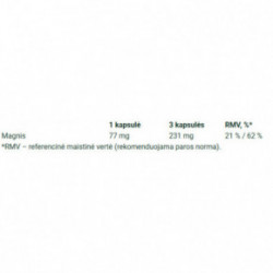 Ecosh Bioactive Magnesium Malate 90 capsules