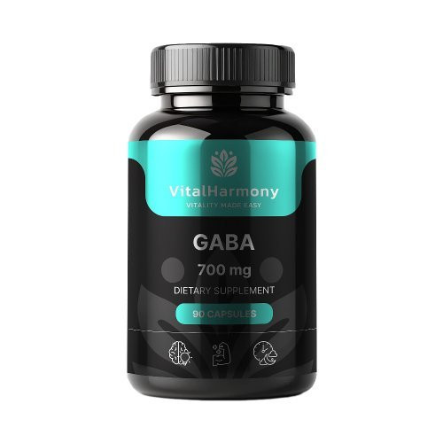 Vitalharmony GABA 700 mg Dietary Supplement 90 capsules