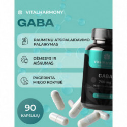 Vitalharmony GABA 700 mg Dietary Supplement 90 capsules