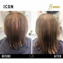 I.C.O.N. Restoratives Haircare Set