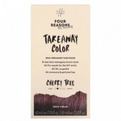 Four Reasons Original Takeaway Demi-Permanent Hair Color 10.01 Ice Ice Blondy