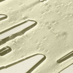 NatureLab Tokyo Perfect Smooth Shampoo 340ml