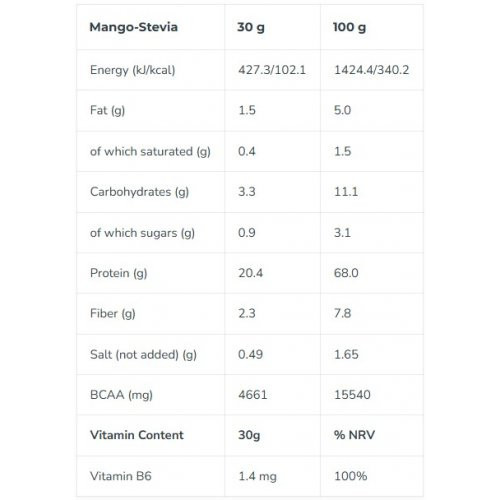 Iconfit Plant Protein 480g