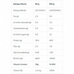 Iconfit Plant Protein 480g